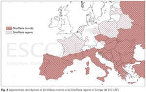 A map showing the spread of heartworm disease in Europe