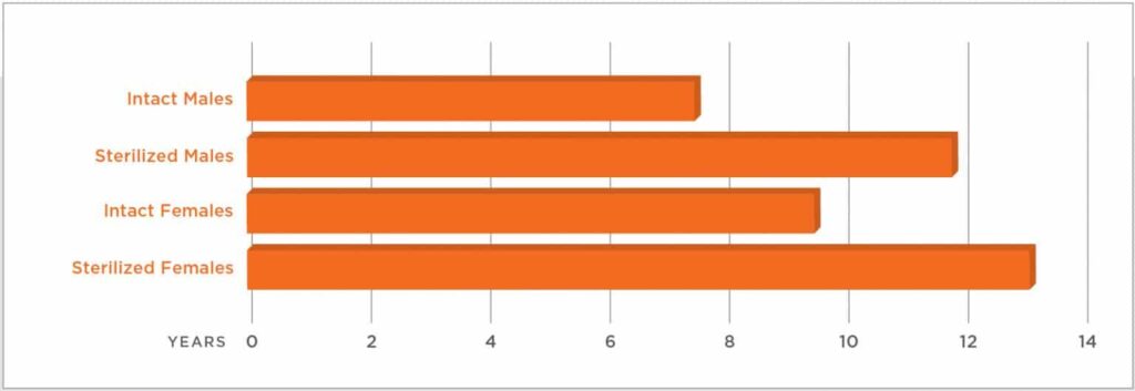 A graph showing the increased life expectancy of neutered cats compared to their intact counterparts