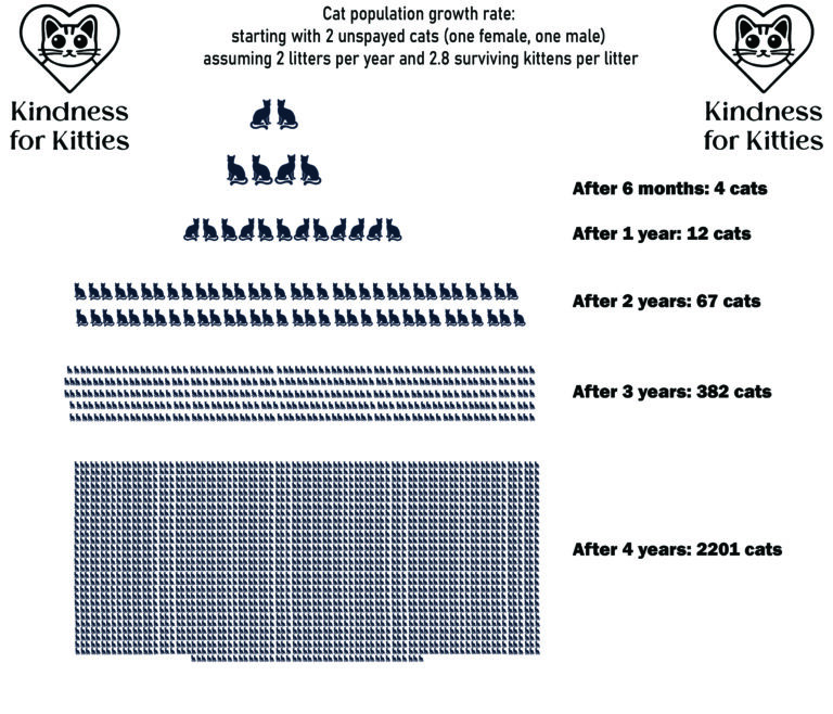 A graph showing the growth rate of cat populations without TNR