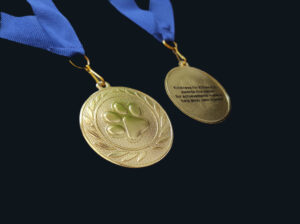 gold medals for donors completing fundraising goals