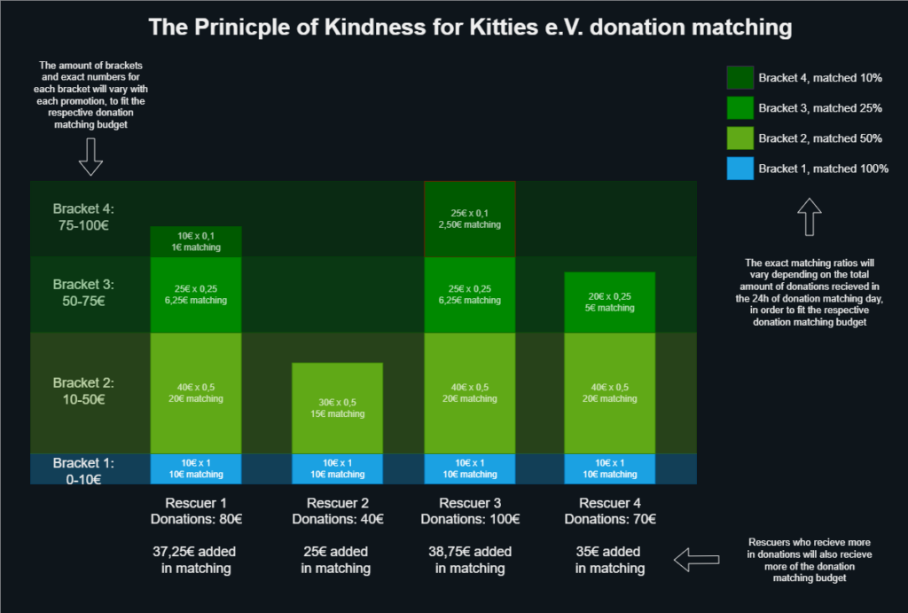 A graph showing the principle of how donations will be matched