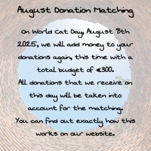 We have doubled your donations with a total budget of 252€ shared among 4 Rescuers.