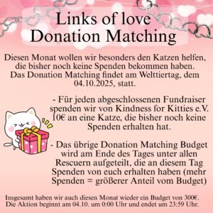 October Donation Matching: On 04.10.2025 we give 10€ to a cat without donations for every fundraiser that we are able to complete. The remaining budget will be shared among Rescuers who recieve donations today.
