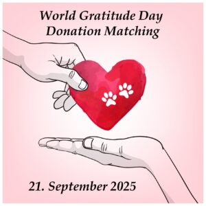 We have matched donations with a total budget of 299€, shared between 6 Rescuers.